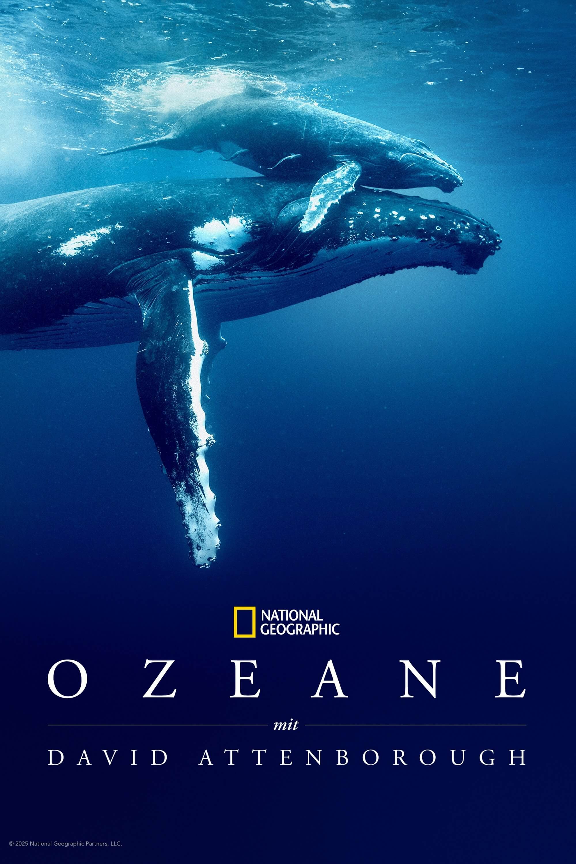David Attenborough ile Okyanuslar
