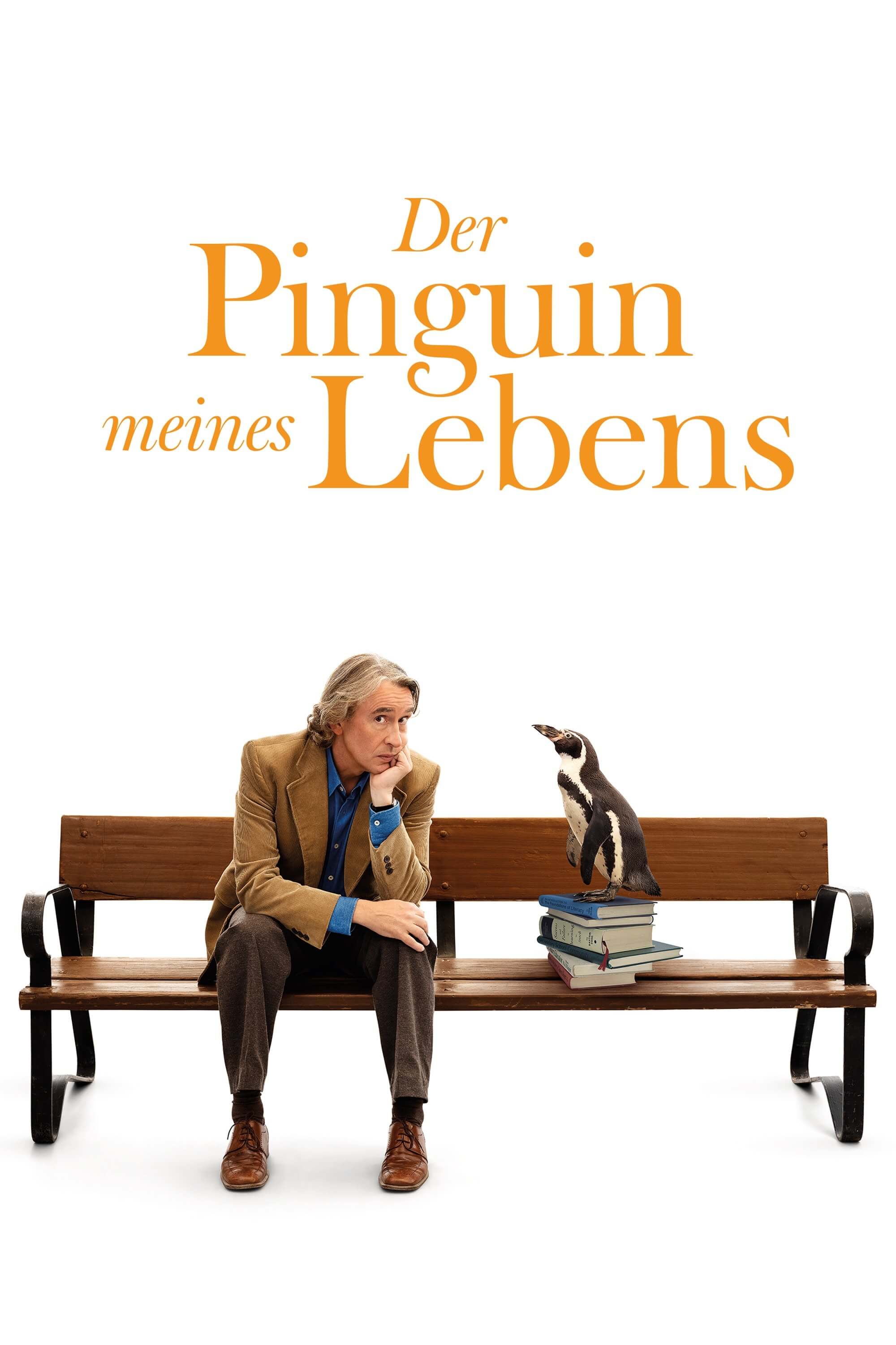 Penguen Dersleri
