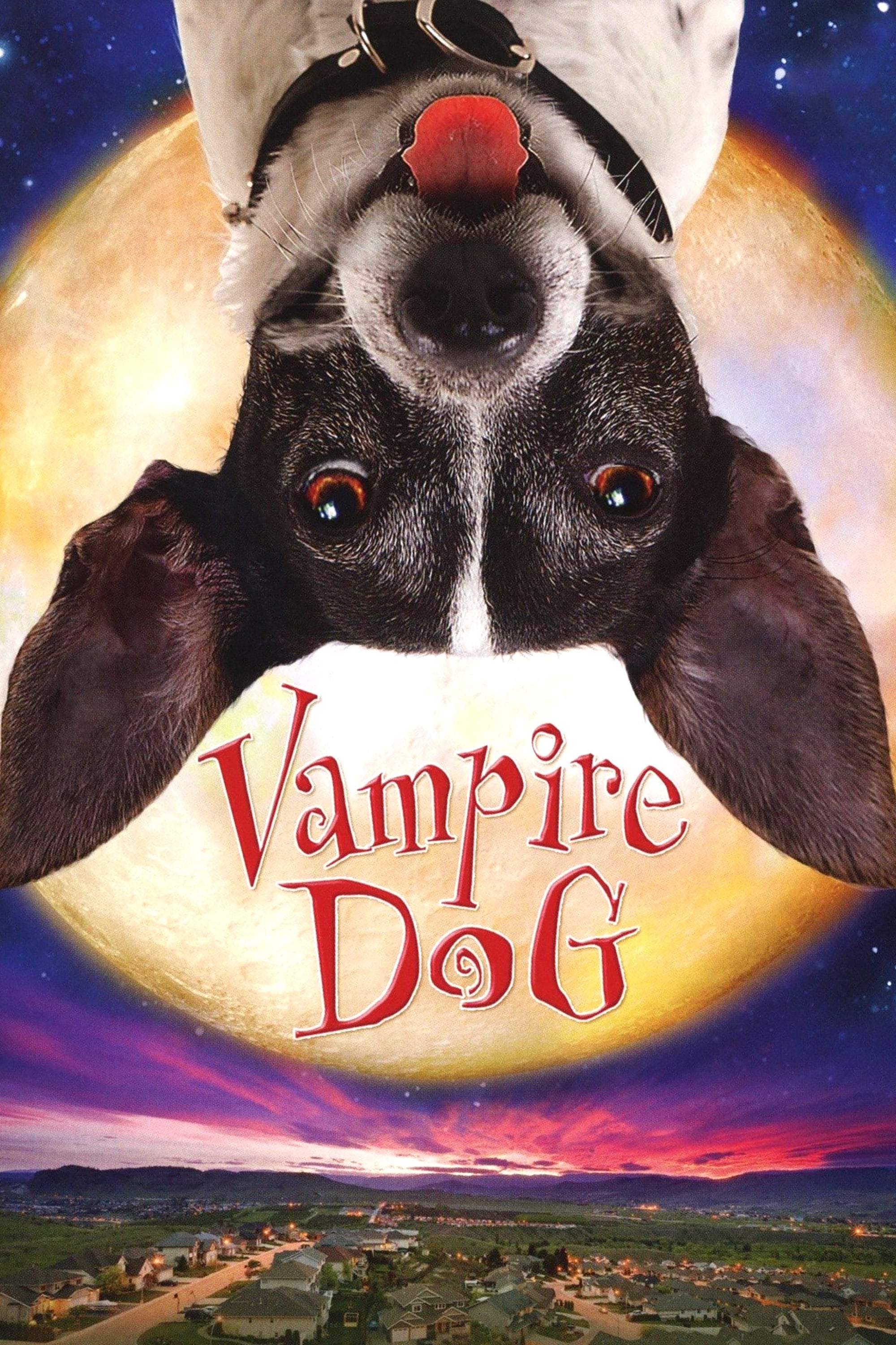 Vampir Köpek